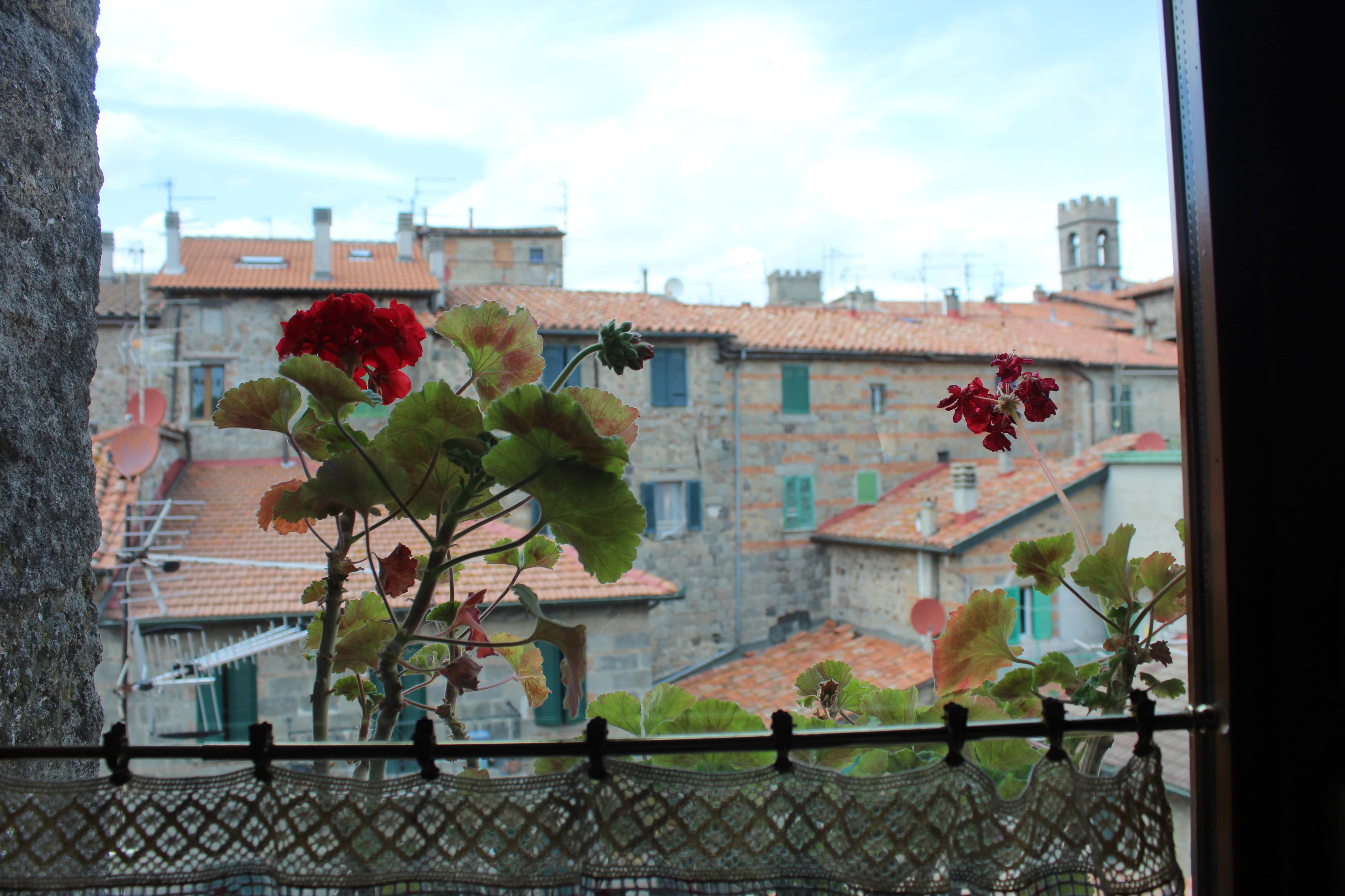 Abbadia San Salvatore,Siena,Toscana,Italia 53021,1 Camera da Letto Stanze da Letto,2 BagniBagni,Appartamenti,1484